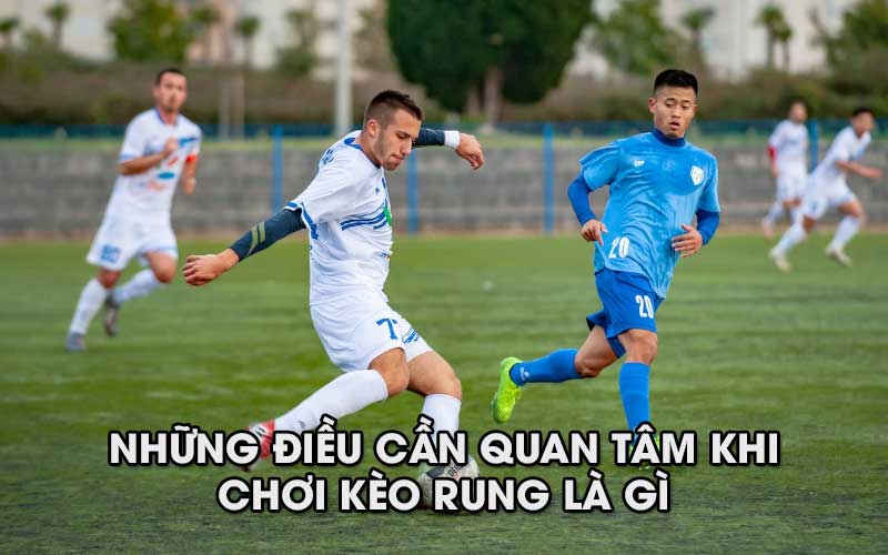 image2 64 Những điều caafn quan tâm khi chơi kèo rung là gì