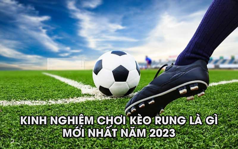 image3 63 Kinh nghiệm chơi kèo rung là gì mới nhất năm 2024